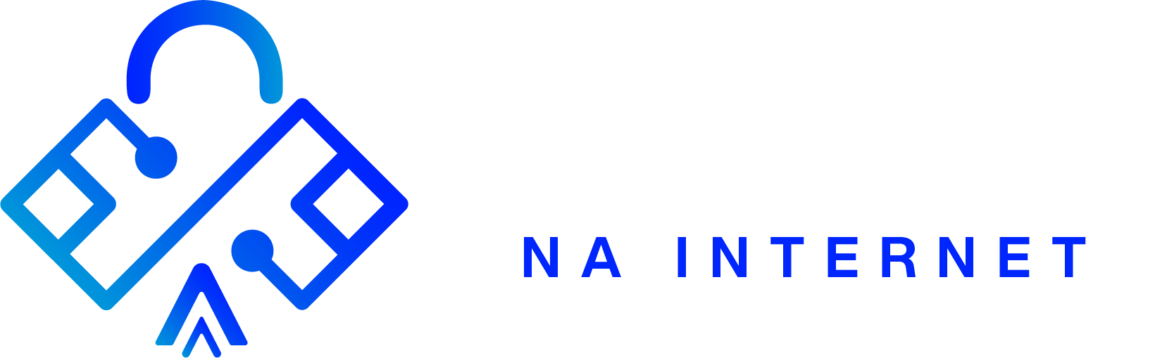 Seguro na Internet